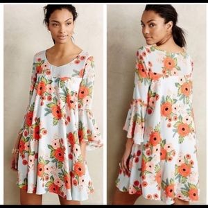 Paper crown fluttered blooms